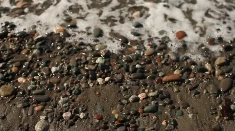 Dungeness Spit Shore Stock Footage 41898809