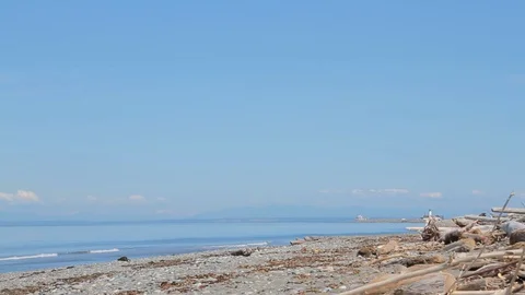 Dungeness Spit, Washington Vídeos de archivo 129531643
