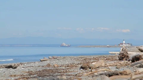 Dungeness Spit, Washington Stock Footage 129531654