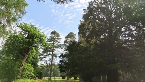 Dunkeld Cathedral Framed by Trees on a Sunny Day in Scotland Stock Footage 341321357