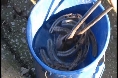 Dunking Shoes Stock Footage 8963133