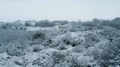 Dunkirk, sand dunes in snow (Dunkerque, France) Stock Footage 101747649