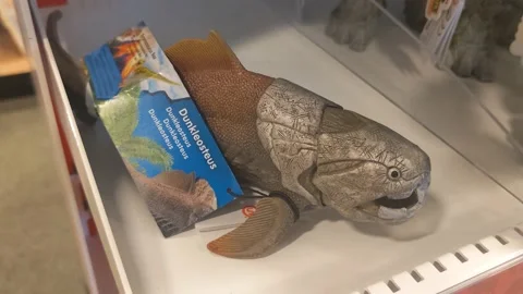 Dunkleosteus Fish Toy Stock Footage 159303029