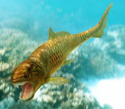 Dunkleosteus Illustrazione stock