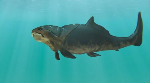 Dunkleosteus Swimming In Circles Animation Stock-Footage 61781875