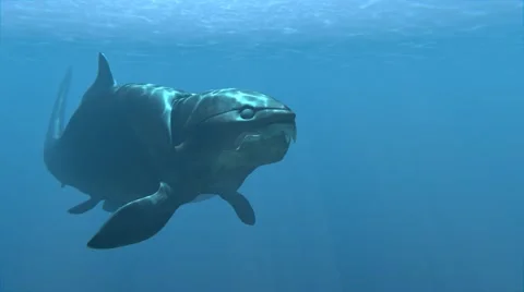 Dunkleosteus Swimming Up-close Animation Stock-Footage 62085198