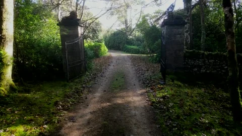 Dunlewey forest path Stock Footage 253997135