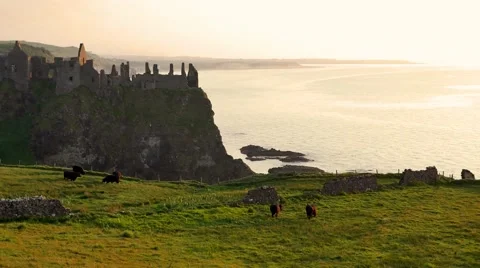 Dunluce Castle in warm evening light during sunset, Northern Ireland Stock Footage 64208564