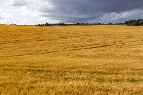 Dunnottar Castle rises ruins atop a cliff, North Sea.Beautiful views, history Stock Photos