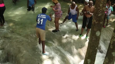 Dunn's Falls 2-1 Stock Footage 156869010