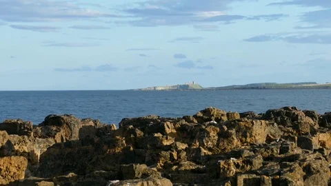 Dunstanburgh Castle on Horizon with Rocks in foreground Stock Footage