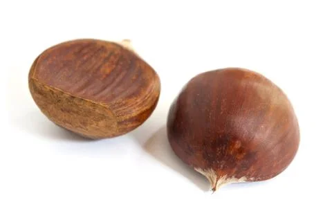 Duo of chestnuts Stock Photos