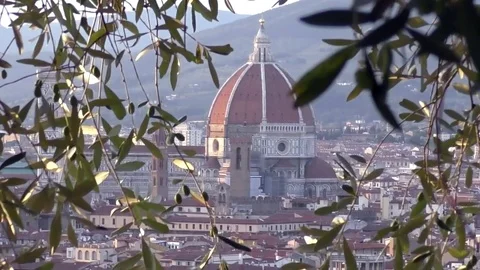 The Duomo and the olive trees Video stock 78923490