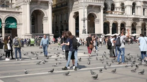 Duomo of Milan 動画素材 168243969