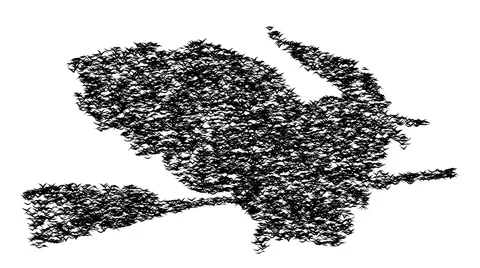 A duple flock of flying birds forms the witch flying on the Sabbath. Video stock 56249527