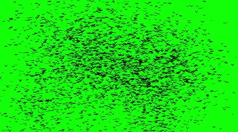 A duple flock of flying birds forms the witch flying on the Sabbath Video stock 56249579