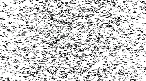 A duple flock of flying birds forms the witch flying on the Sabbath Stock Footage 56249672