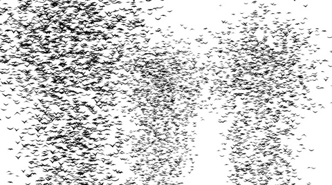 A duple flock of flying birds forms the grave crosses. Stock Footage 56352139
