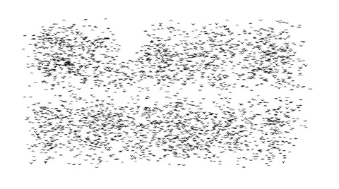 A duple flock of flying birds forms the words BLACK FRIDAY. Stock Footage 58147118