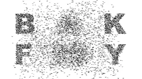 A duple flock of flying birds forms the words BLACK FRIDAY. Stock Footage 58147281