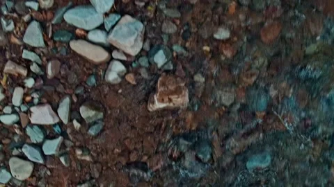 Durango In Fall Video stock 220193268