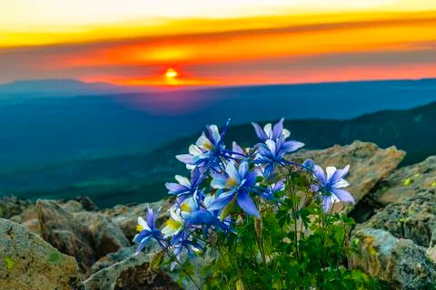 Durango Sunset Stock Photos