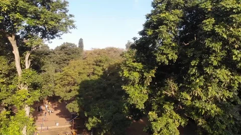 Durban Drone Gardens with trees and the city view Stock Footage