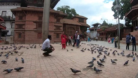 Durbar Square Pigeons, Kathmandu Stock Footage 124278034