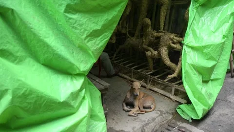 Durga and other Hindu idols in Kumartuli, Kolkata, West Bengal, India. Stock Footage 342228059