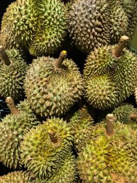 Durian background, King of the fruit. Stock Photos