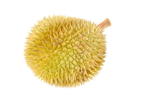 Durian close up Stock Photos