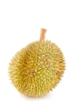 Durian close up Stock Photos