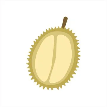 Durian exotic fruit vector illustration Stock Illustration