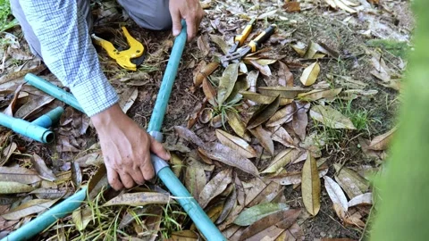 Durian farmer assembling plastic irrigation pipes to improve water distribution  Vídeos de archivo 347795806