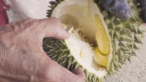 Durian 库存影片 106940194