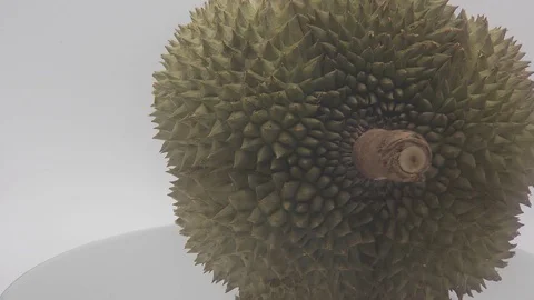 Durian Stock Footage 126108665