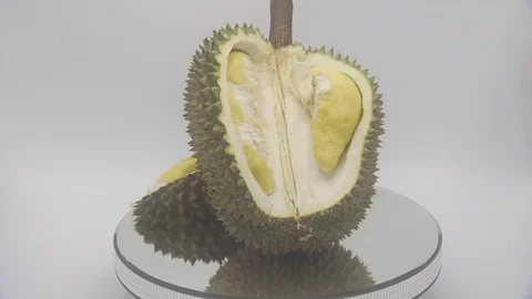 Durian Stock Footage 126108951