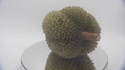 Durian Stock Footage 126109617