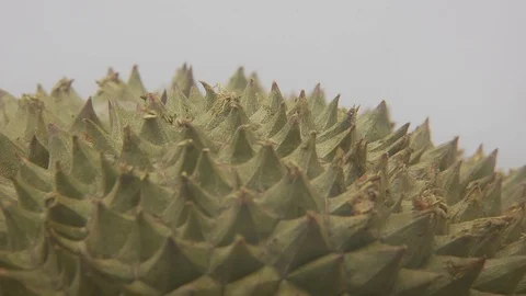 Durian Stock Footage 126109718