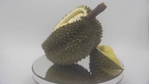 Durian Stock Footage 126109723