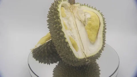 Durian Stock Footage 126110030