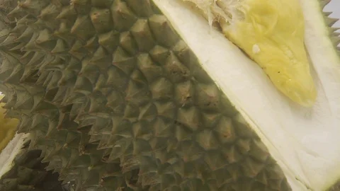 Durian Stock Footage 126110229