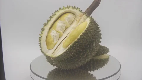 Durian Stock Footage 126110602