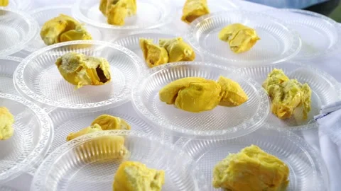 Durian Stock Footage 146128845