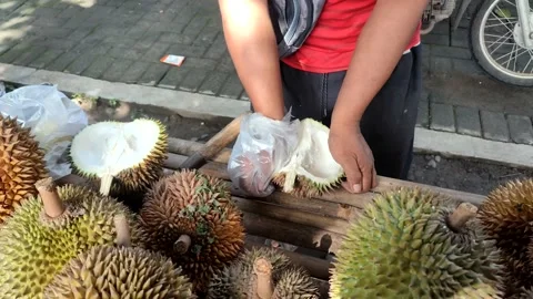 Durian Stock Footage 232983597