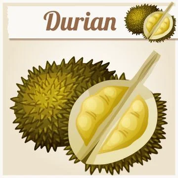 Durian fruit. Cartoon vector icon Stock Illustration