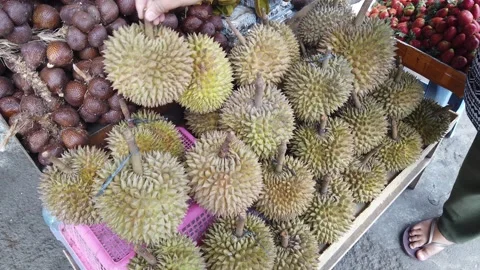 Durian Fruit Displayed in Local Fruit Store in Southeast Asia, Seller and Stock Footage 247119917