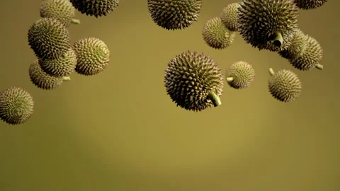 Durian fruit drop down falling from top. 3D animation. Selective focus. 4K Stock Footage 130294986