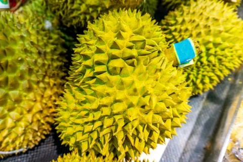 Durian Fruit Focused Foto stock