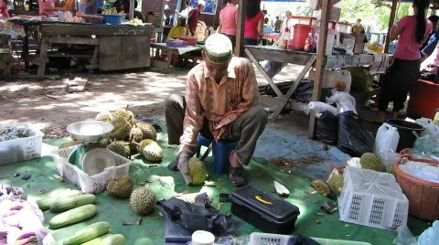 Durian fruit Stock Footage 572839